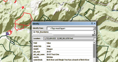 GIS & Data Management