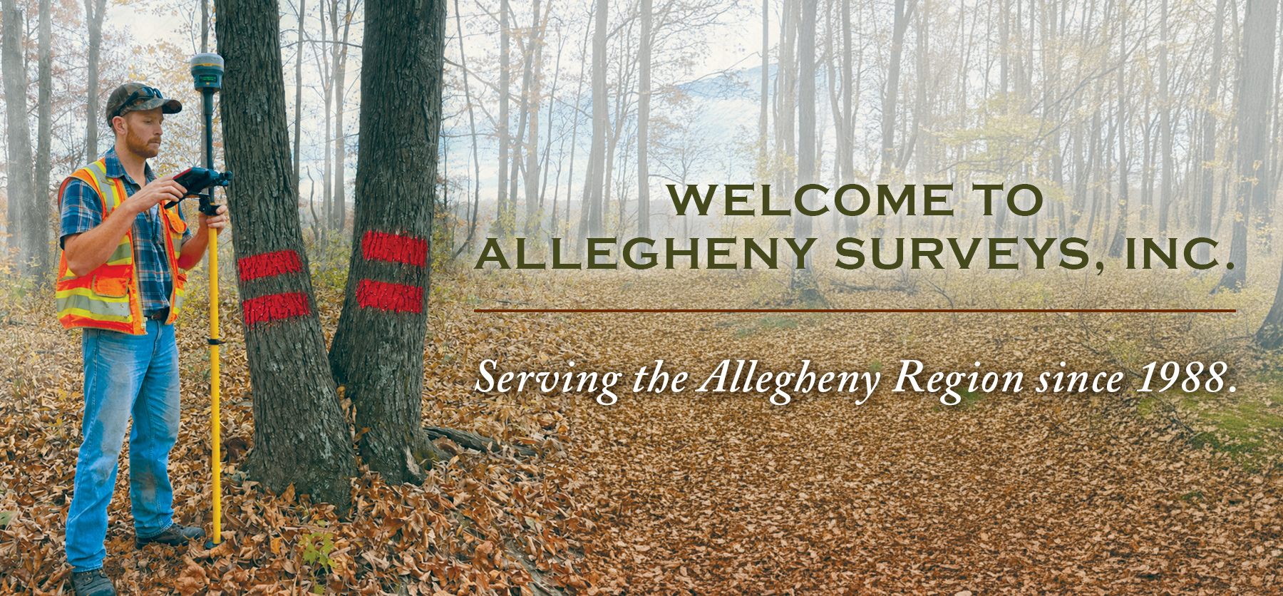 Comprehensive Survey Solutions
